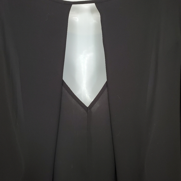 LUSH Sheer Black Blouse - Picture 10 of 11
